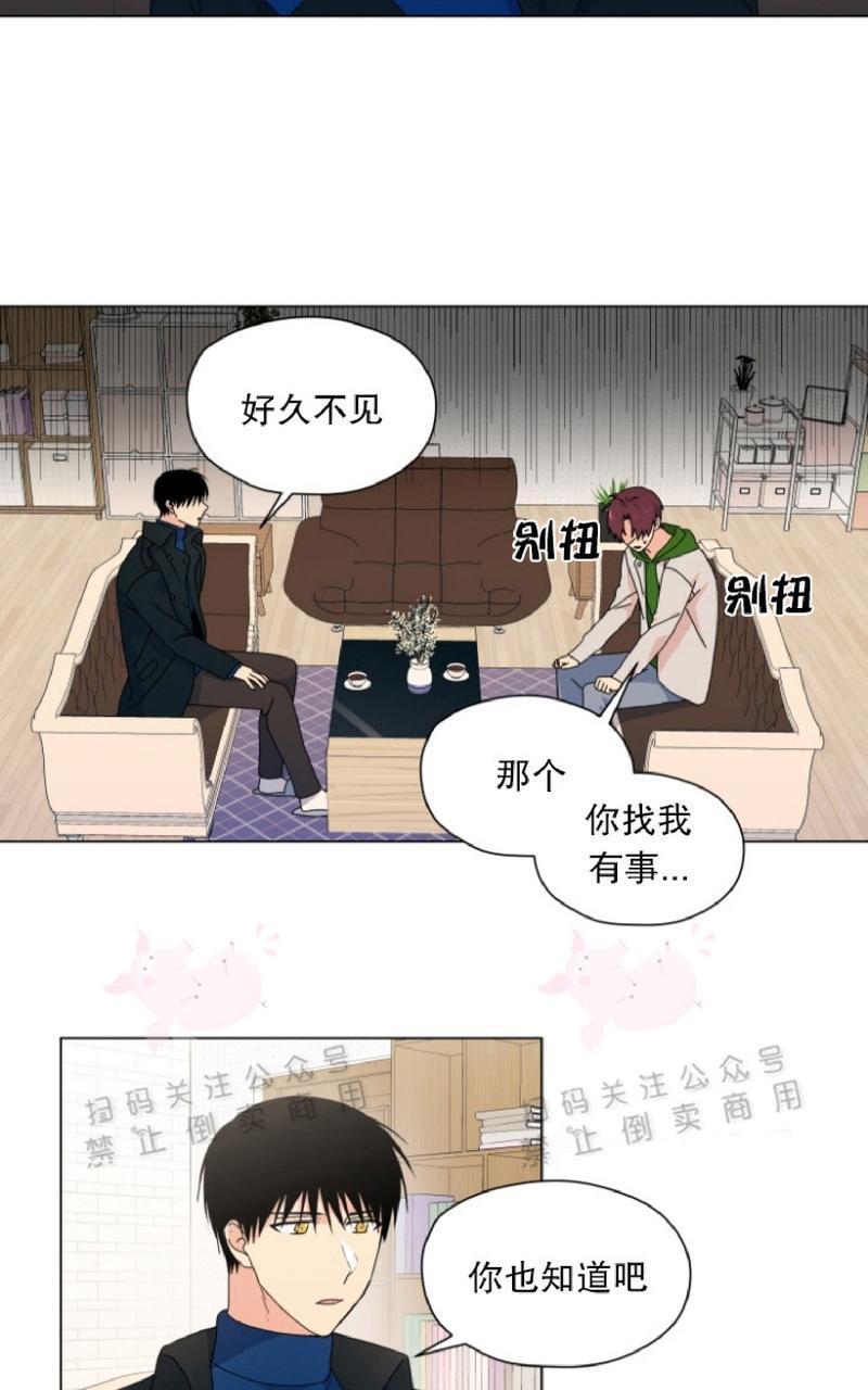 孤独的爱[耽美]韩漫全集-第31话无删减无遮挡章节图片 