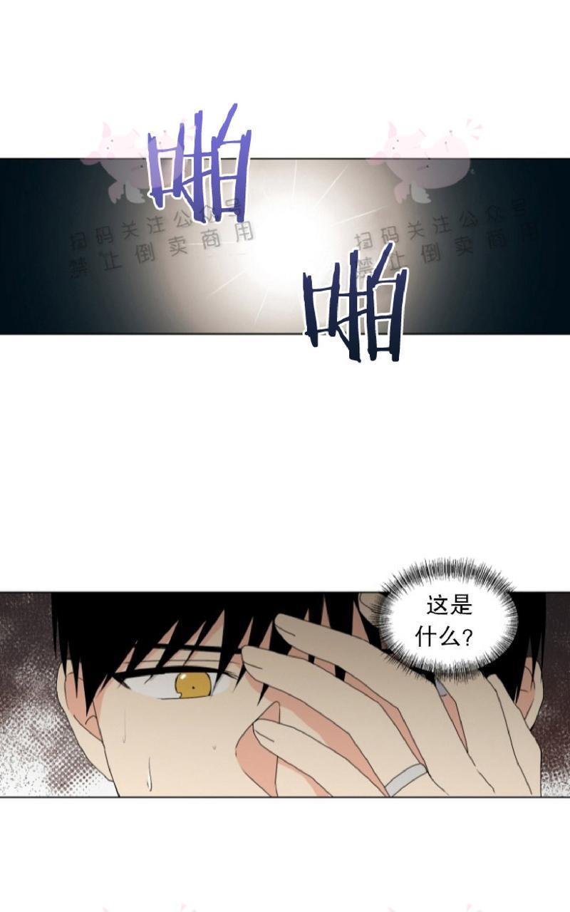 孤独的爱[耽美]韩漫全集-第32话无删减无遮挡章节图片 