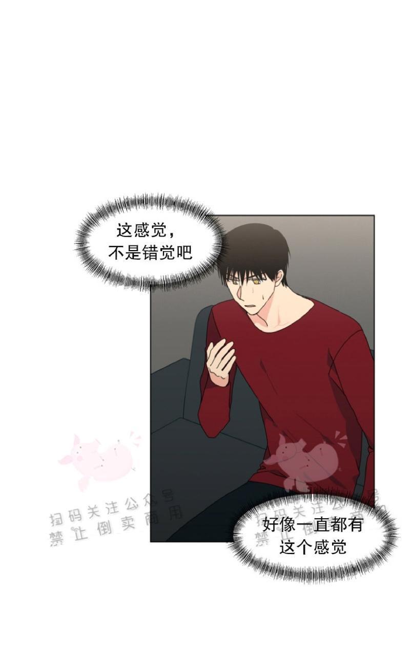 孤独的爱[耽美]韩漫全集-第32话无删减无遮挡章节图片 