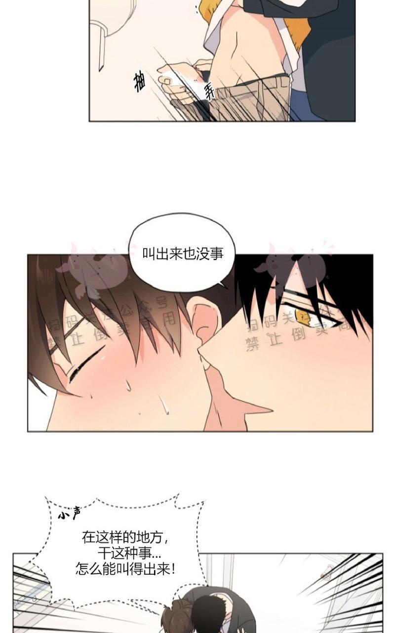 孤独的爱[耽美]韩漫全集-第33话end无删减无遮挡章节图片 