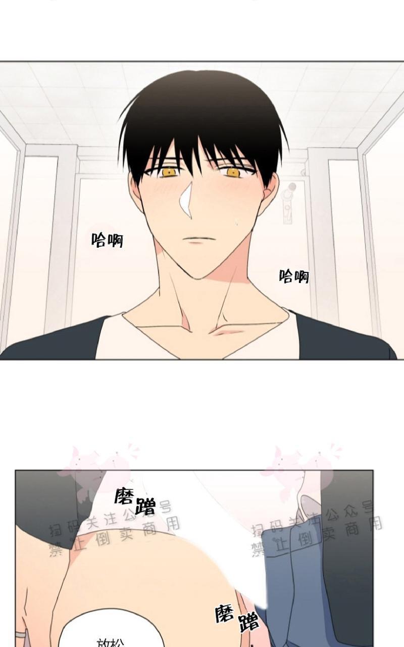 孤独的爱[耽美]韩漫全集-第33话end无删减无遮挡章节图片 