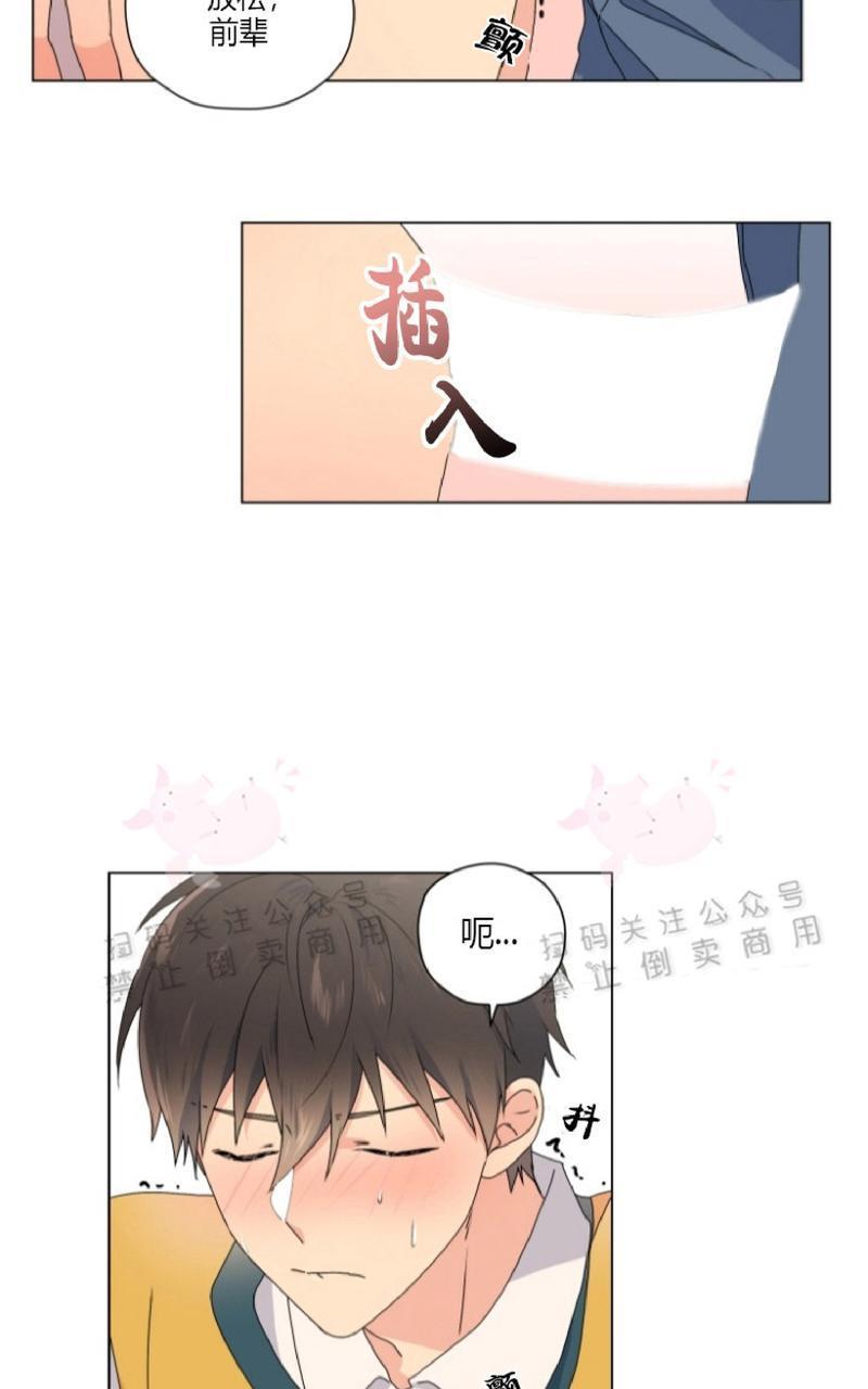 孤独的爱[耽美]韩漫全集-第33话end无删减无遮挡章节图片 