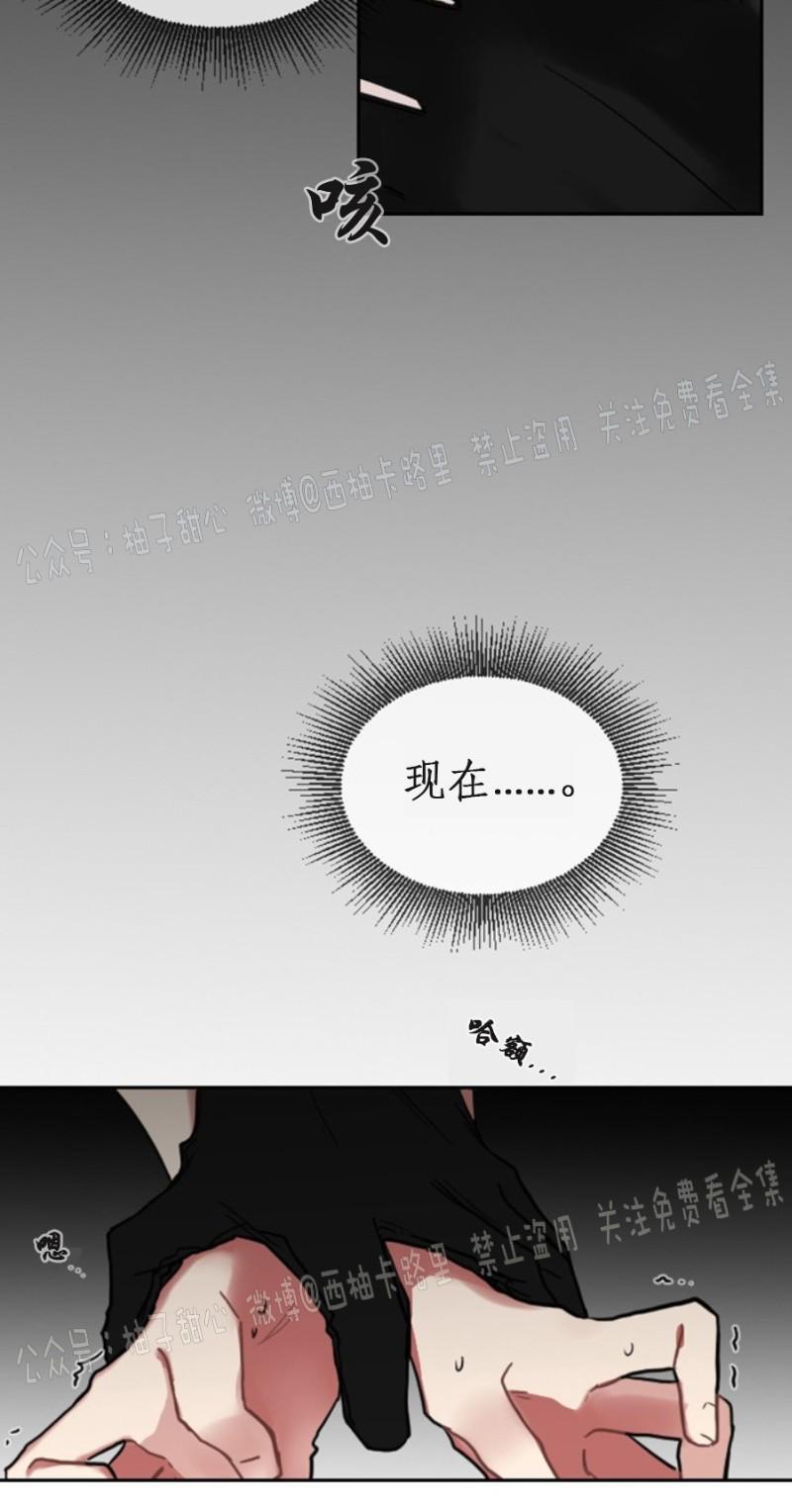 我被大佬圈养了/如果和大哥恋爱/如果与帮派相恋[耽美]韩漫全集-第2话无删减无遮挡章节图片 