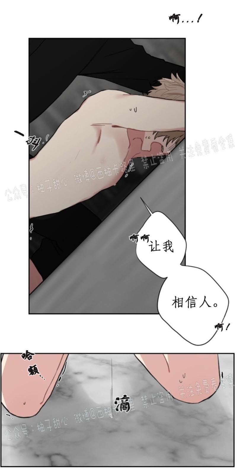 我被大佬圈养了/如果和大哥恋爱/如果与帮派相恋[耽美]韩漫全集-第2话无删减无遮挡章节图片 