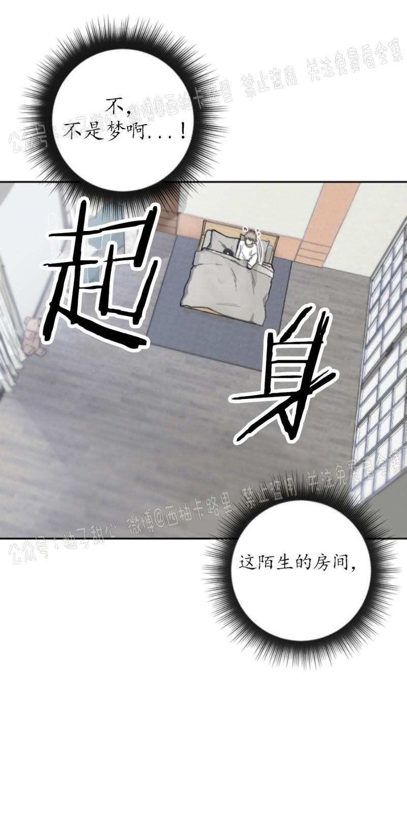 我被大佬圈养了/如果和大哥恋爱/如果与帮派相恋[耽美]韩漫全集-第3话无删减无遮挡章节图片 