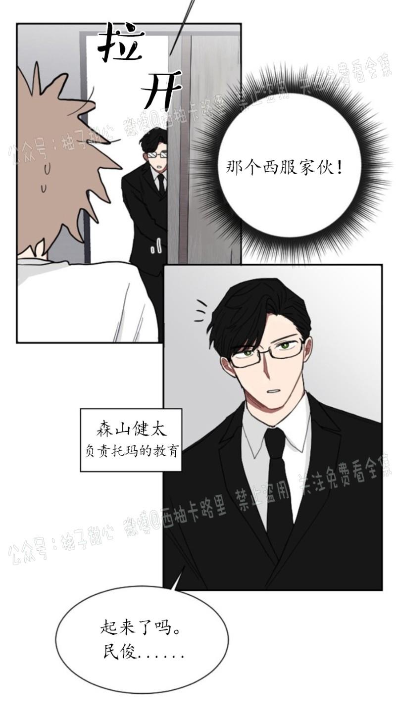 我被大佬圈养了/如果和大哥恋爱/如果与帮派相恋[耽美]韩漫全集-第3话无删减无遮挡章节图片 
