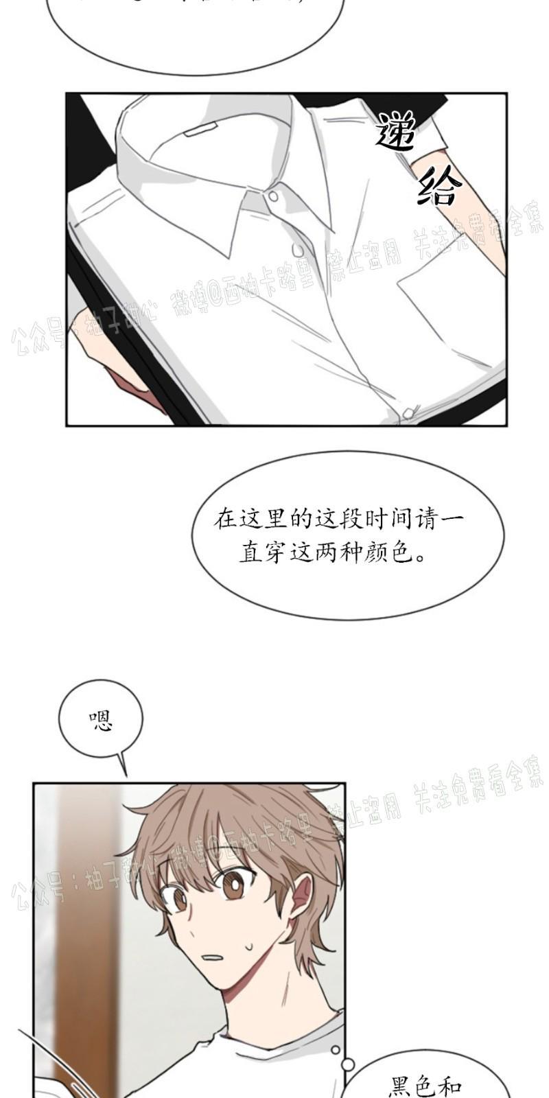 我被大佬圈养了/如果和大哥恋爱/如果与帮派相恋[耽美]韩漫全集-第3话无删减无遮挡章节图片 