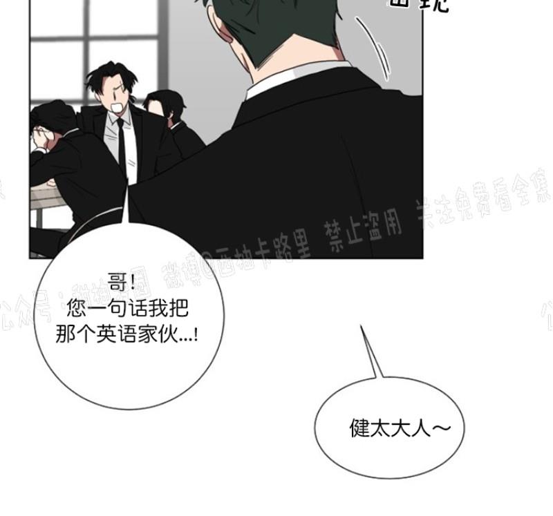 我被大佬圈养了/如果和大哥恋爱/如果与帮派相恋[耽美]韩漫全集-第4话无删减无遮挡章节图片 