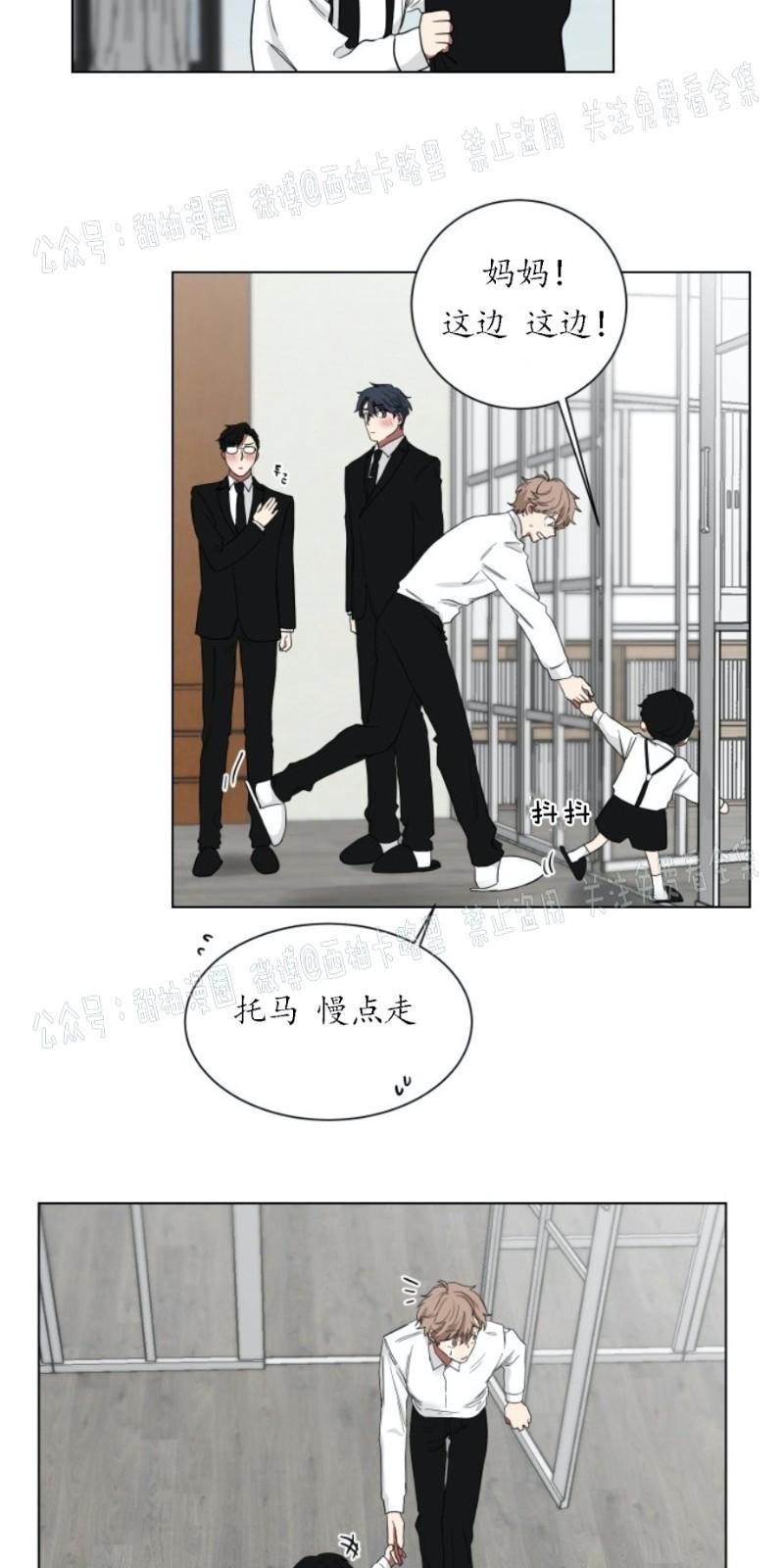我被大佬圈养了/如果和大哥恋爱/如果与帮派相恋[耽美]韩漫全集-第5话无删减无遮挡章节图片 