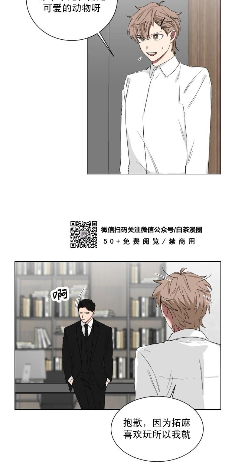 我被大佬圈养了/如果和大哥恋爱/如果与帮派相恋[耽美]韩漫全集-第6话无删减无遮挡章节图片 