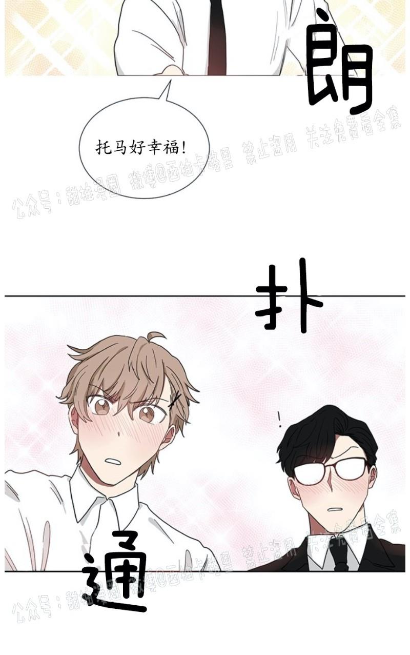 我被大佬圈养了/如果和大哥恋爱/如果与帮派相恋[耽美]韩漫全集-第8话无删减无遮挡章节图片 