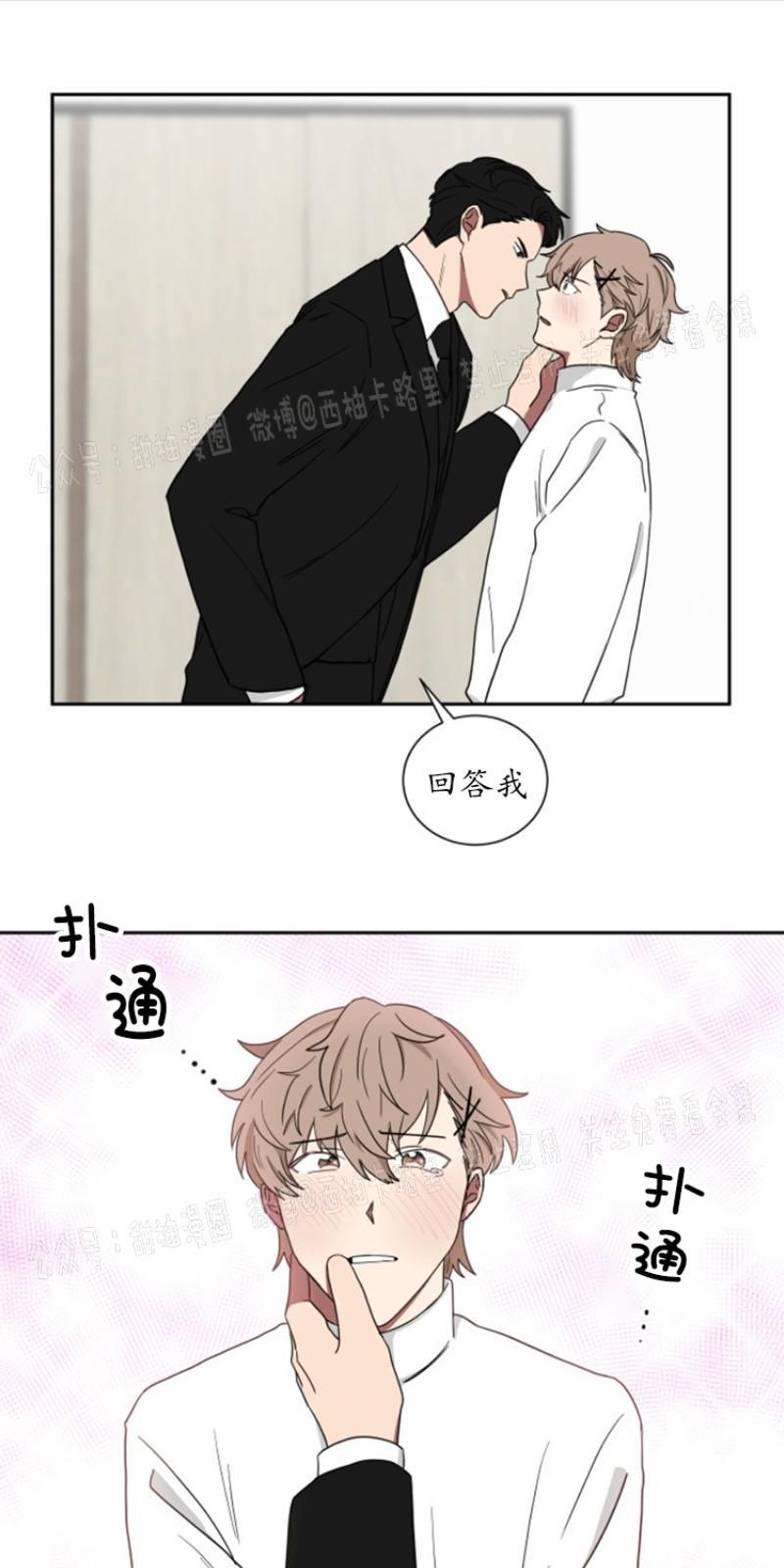 我被大佬圈养了/如果和大哥恋爱/如果与帮派相恋[耽美]韩漫全集-第10话无删减无遮挡章节图片 