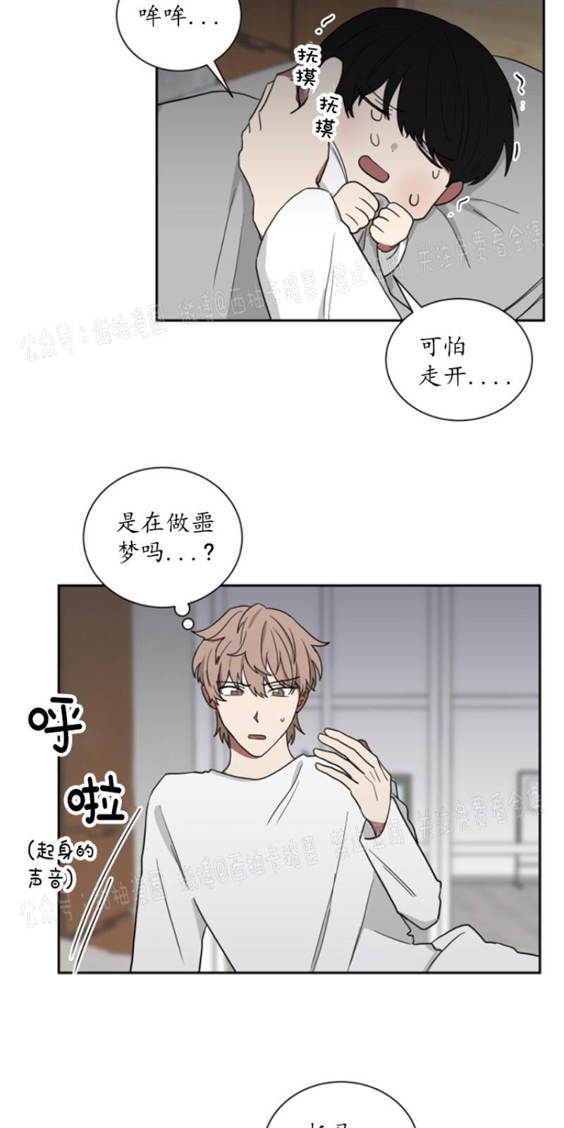 我被大佬圈养了/如果和大哥恋爱/如果与帮派相恋[耽美]韩漫全集-第10话无删减无遮挡章节图片 
