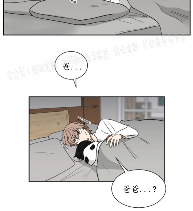 我被大佬圈养了/如果和大哥恋爱/如果与帮派相恋[耽美]韩漫全集-第10话无删减无遮挡章节图片 