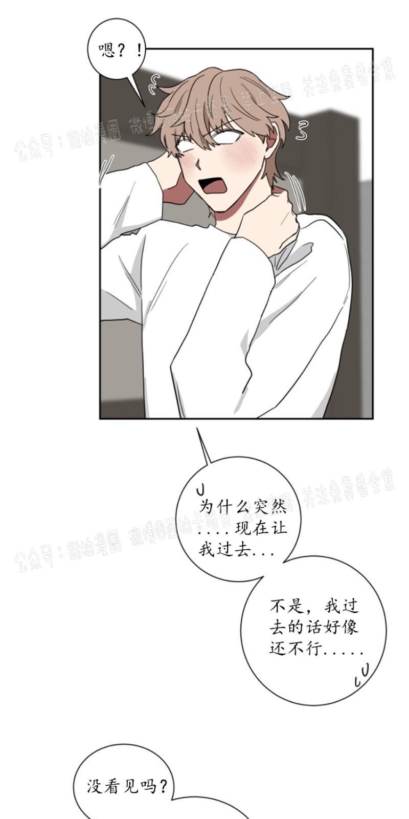 我被大佬圈养了/如果和大哥恋爱/如果与帮派相恋[耽美]韩漫全集-第10话无删减无遮挡章节图片 