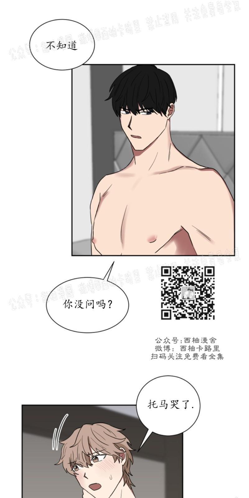 我被大佬圈养了/如果和大哥恋爱/如果与帮派相恋[耽美]韩漫全集-第10话无删减无遮挡章节图片 