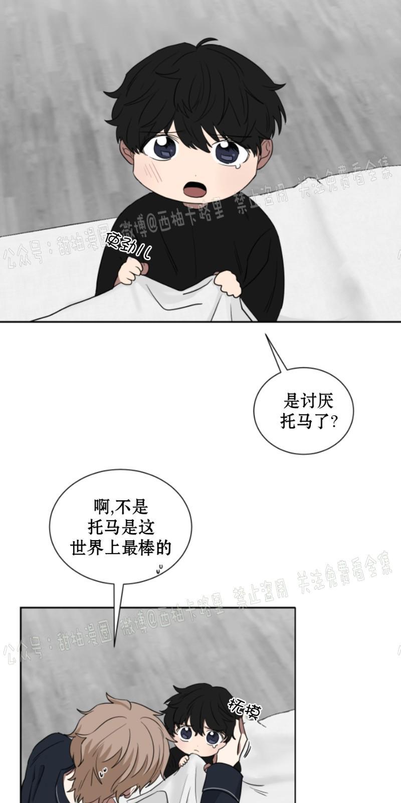 我被大佬圈养了/如果和大哥恋爱/如果与帮派相恋[耽美]韩漫全集-第14话无删减无遮挡章节图片 