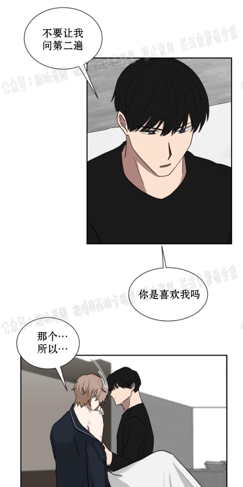 我被大佬圈养了/如果和大哥恋爱/如果与帮派相恋[耽美]韩漫全集-第14话无删减无遮挡章节图片 