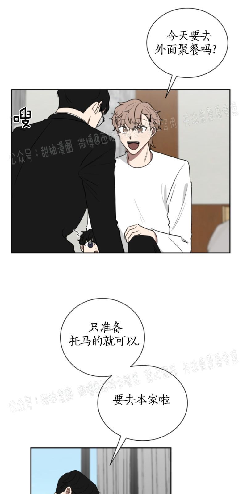 我被大佬圈养了/如果和大哥恋爱/如果与帮派相恋[耽美]韩漫全集-第15话无删减无遮挡章节图片 