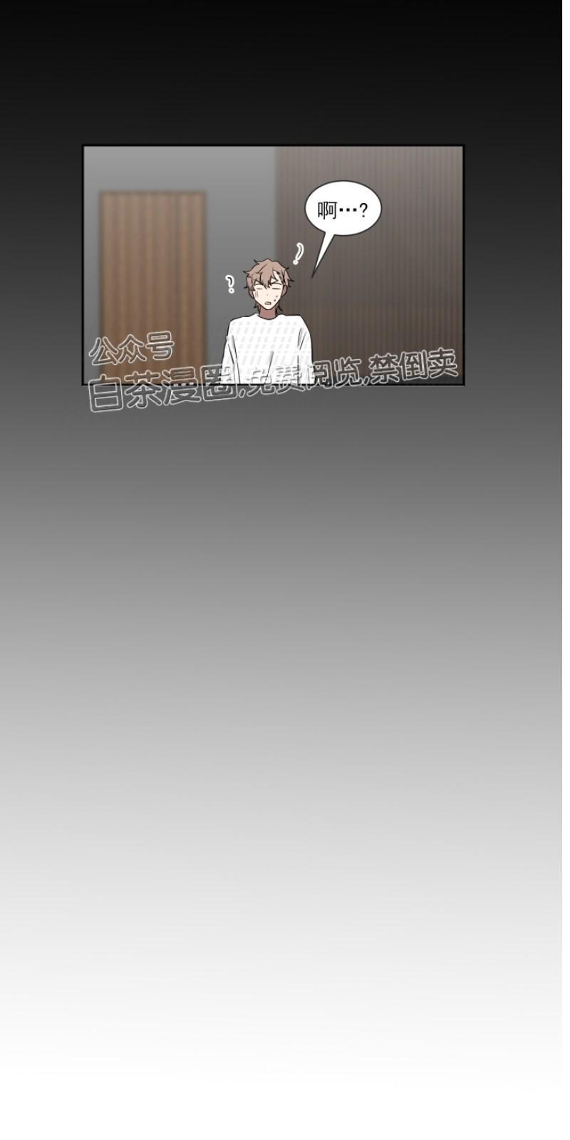 我被大佬圈养了/如果和大哥恋爱/如果与帮派相恋[耽美]韩漫全集-第16话无删减无遮挡章节图片 