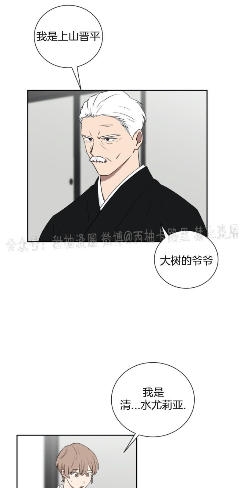 我被大佬圈养了/如果和大哥恋爱/如果与帮派相恋[耽美]韩漫全集-第17话无删减无遮挡章节图片 