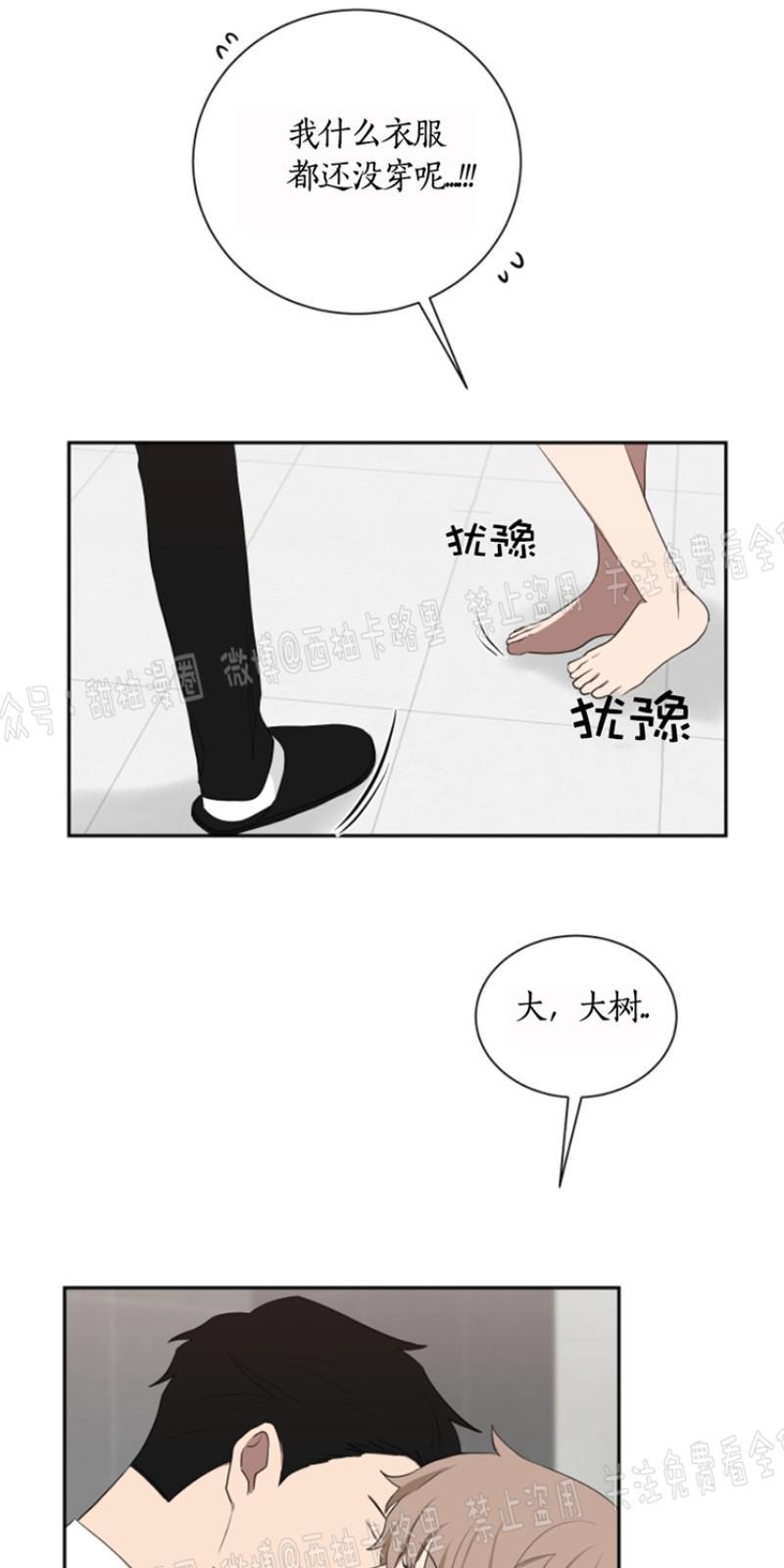我被大佬圈养了/如果和大哥恋爱/如果与帮派相恋[耽美]韩漫全集-第19话无删减无遮挡章节图片 