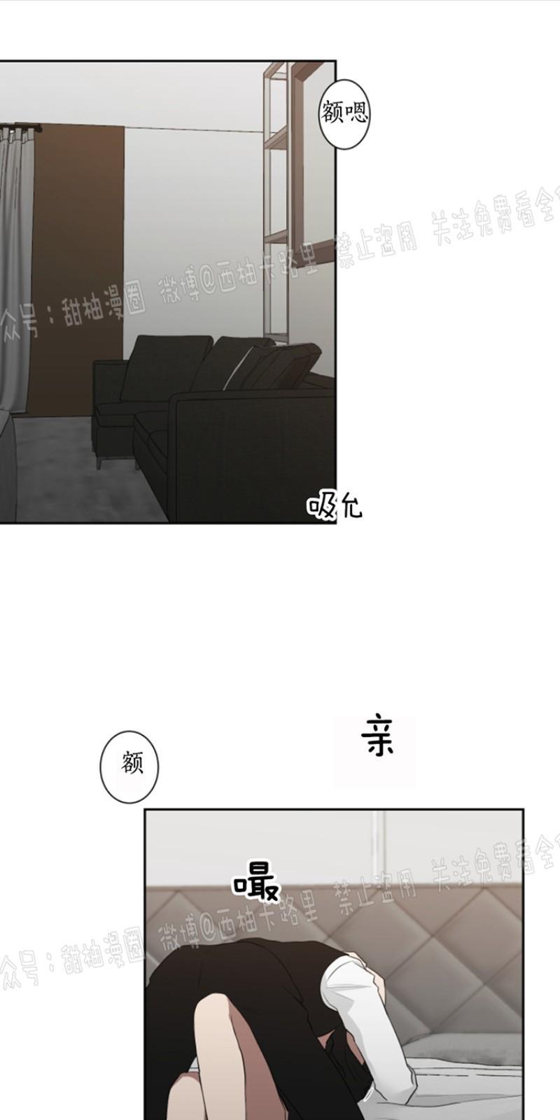 我被大佬圈养了/如果和大哥恋爱/如果与帮派相恋[耽美]韩漫全集-第19话无删减无遮挡章节图片 