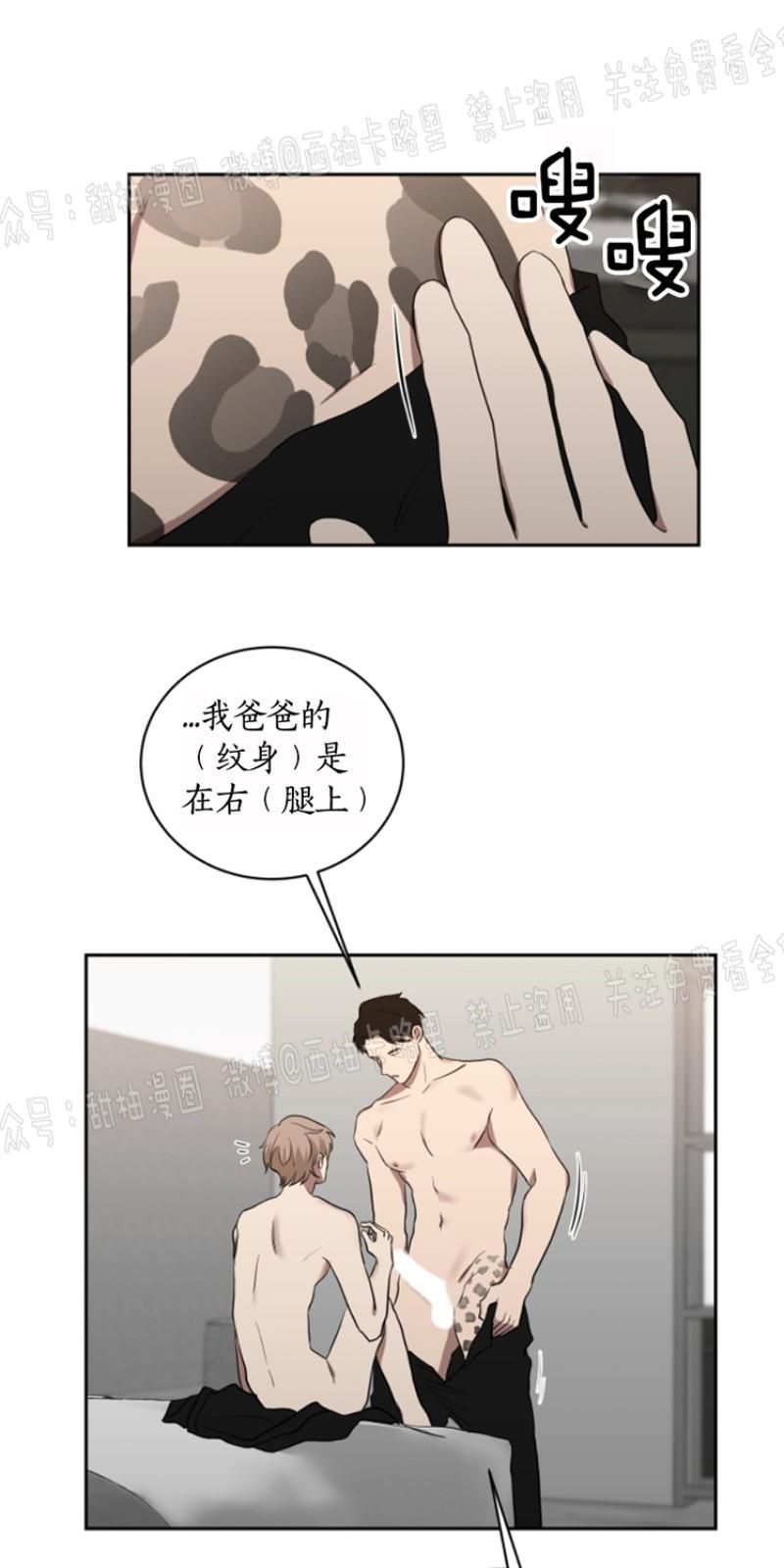 我被大佬圈养了/如果和大哥恋爱/如果与帮派相恋[耽美]韩漫全集-第19话无删减无遮挡章节图片 