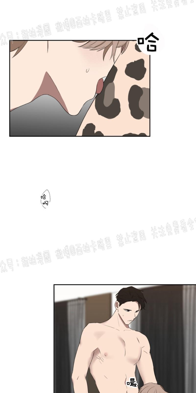 我被大佬圈养了/如果和大哥恋爱/如果与帮派相恋[耽美]韩漫全集-第19话无删减无遮挡章节图片 