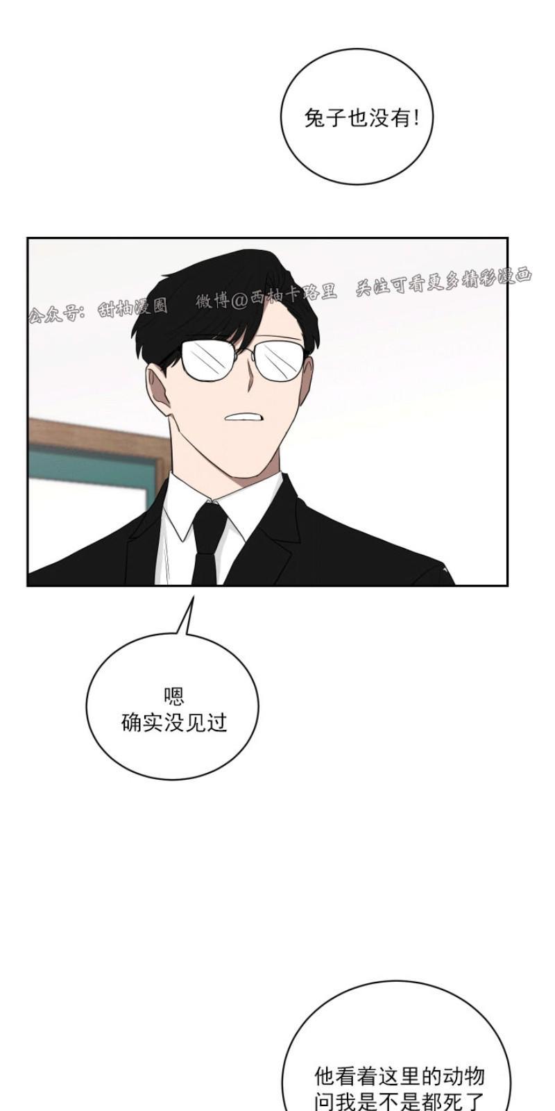 我被大佬圈养了/如果和大哥恋爱/如果与帮派相恋[耽美]韩漫全集-第20话无删减无遮挡章节图片 