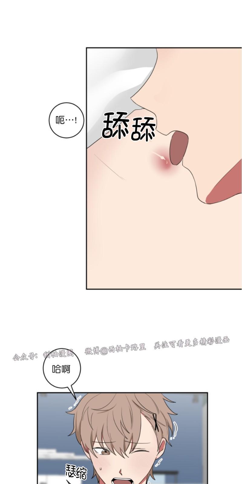 我被大佬圈养了/如果和大哥恋爱/如果与帮派相恋[耽美]韩漫全集-第21话无删减无遮挡章节图片 