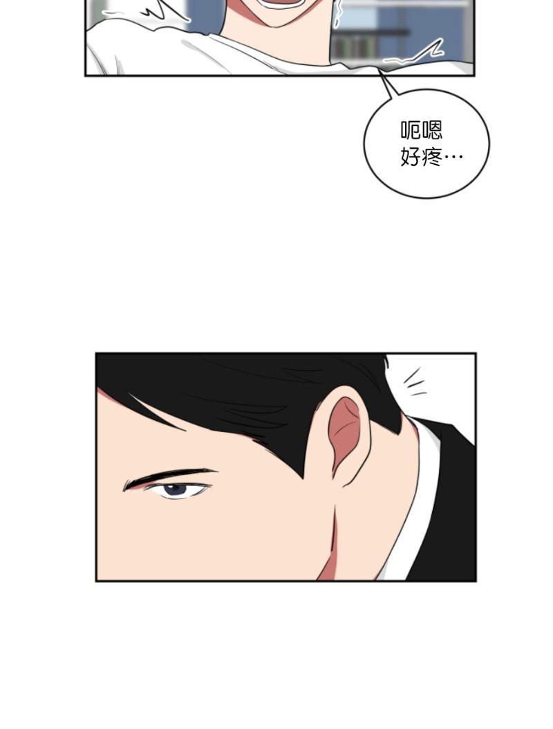 我被大佬圈养了/如果和大哥恋爱/如果与帮派相恋[耽美]韩漫全集-第21话无删减无遮挡章节图片 