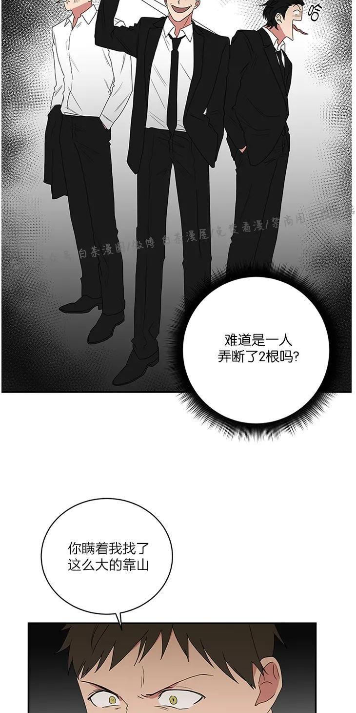 我被大佬圈养了/如果和大哥恋爱/如果与帮派相恋[耽美]韩漫全集-第31话无删减无遮挡章节图片 
