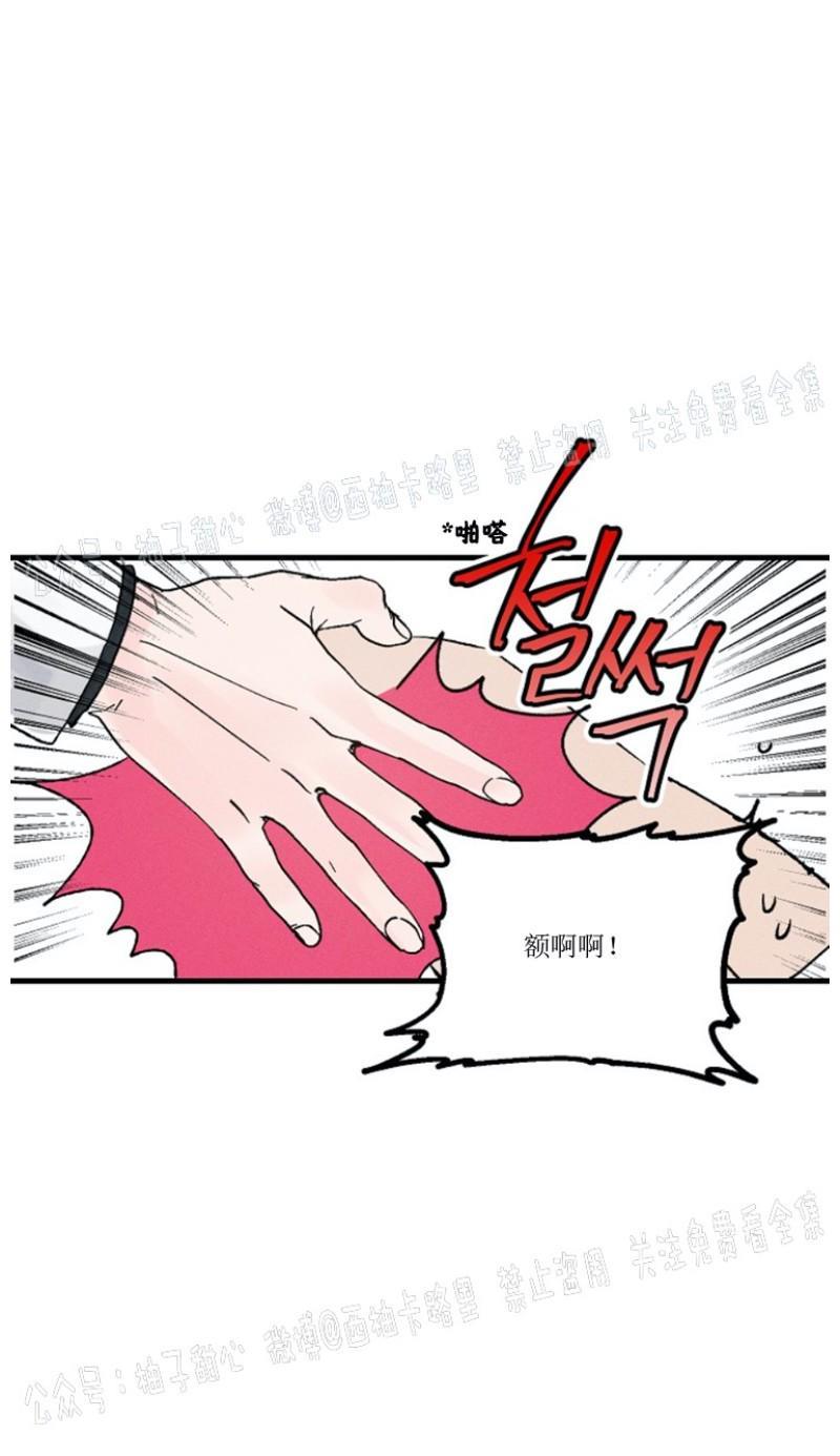 代号：迷雾/代号雾[耽美]韩漫全集-第1话无删减无遮挡章节图片 
