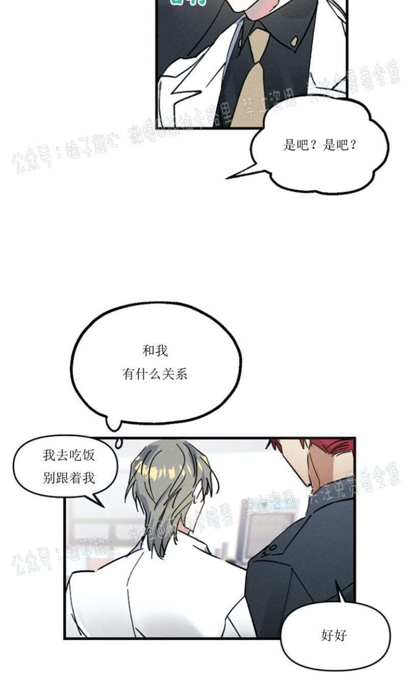 代号：迷雾/代号雾[耽美]韩漫全集-第1话无删减无遮挡章节图片 