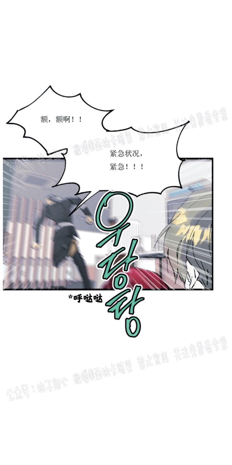 代号：迷雾/代号雾[耽美]韩漫全集-第1话无删减无遮挡章节图片 
