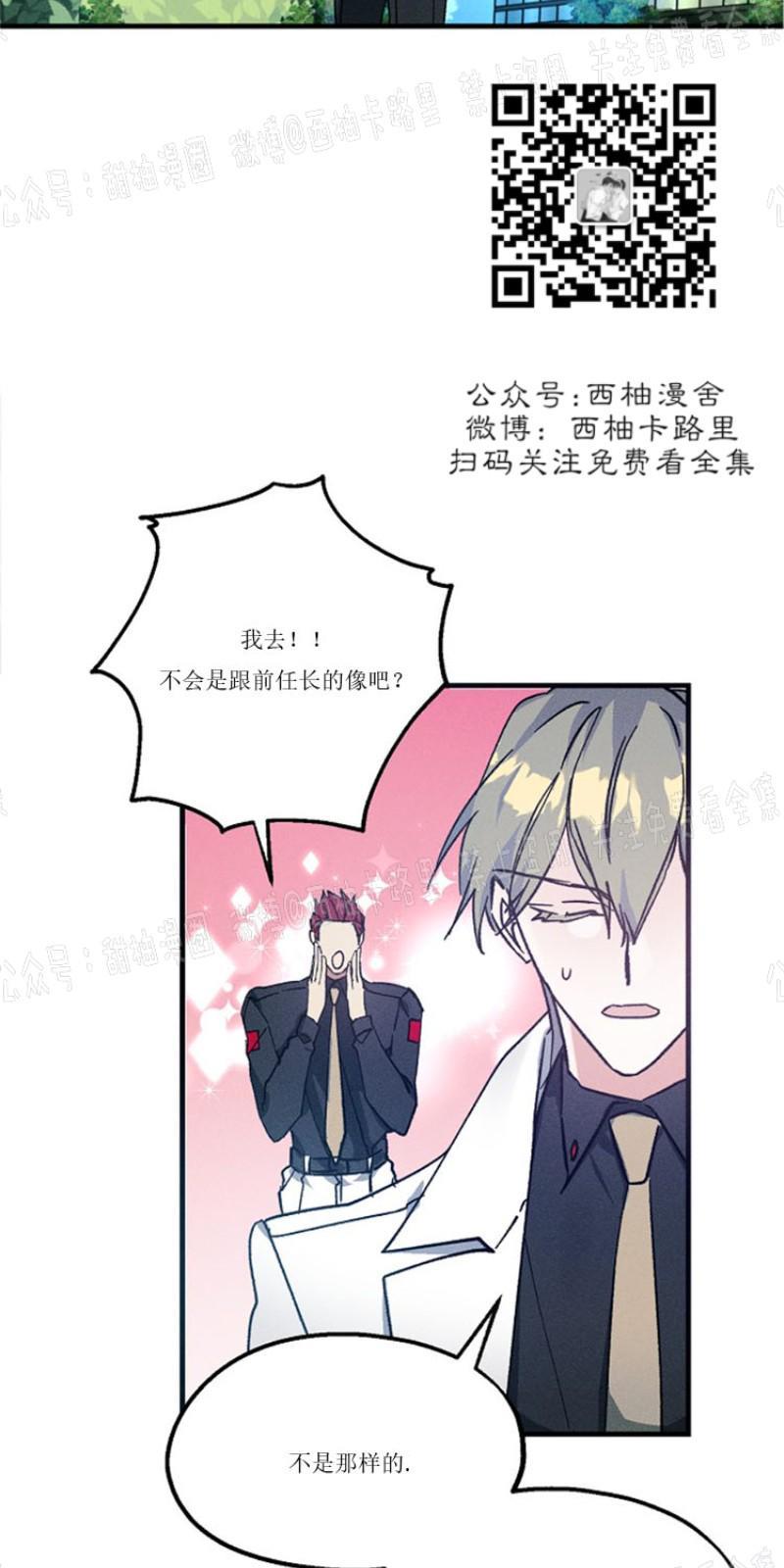 代号：迷雾/代号雾[耽美]韩漫全集-第2话无删减无遮挡章节图片 