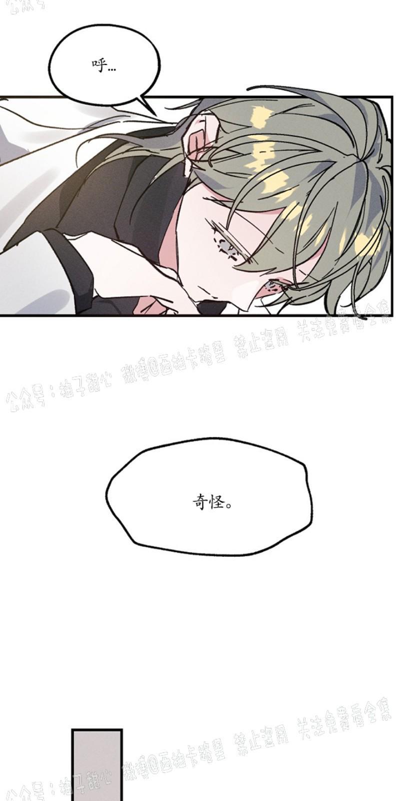 代号：迷雾/代号雾[耽美]韩漫全集-第3话无删减无遮挡章节图片 