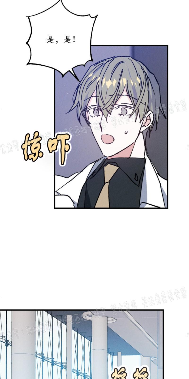 代号：迷雾/代号雾[耽美]韩漫全集-第4话无删减无遮挡章节图片 