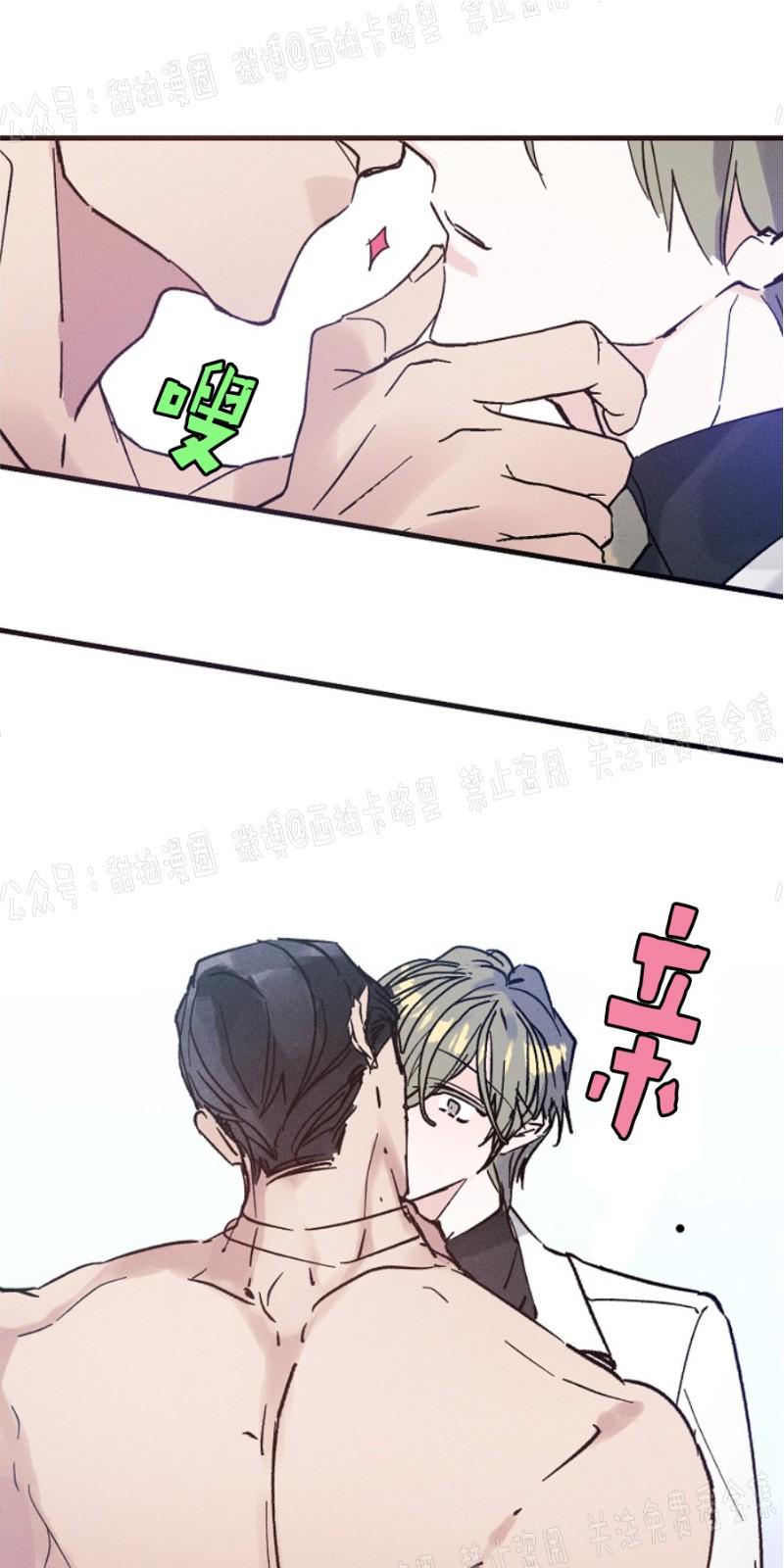 代号：迷雾/代号雾[耽美]韩漫全集-第5话无删减无遮挡章节图片 
