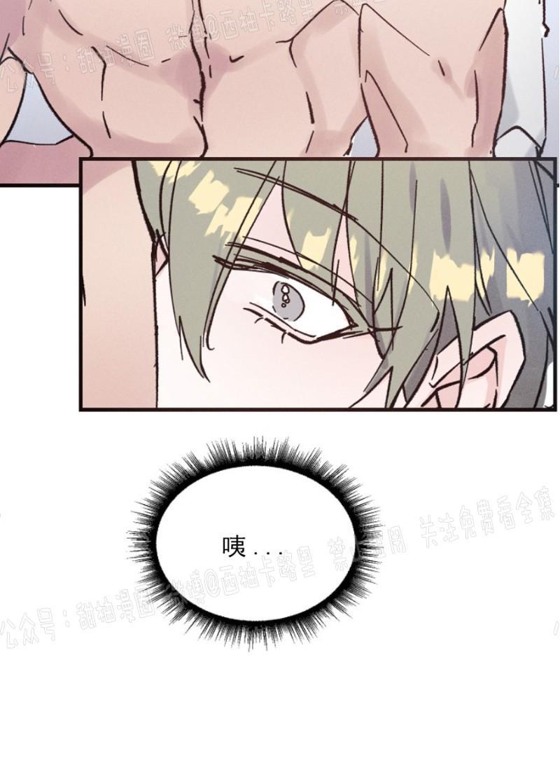 代号：迷雾/代号雾[耽美]韩漫全集-第5话无删减无遮挡章节图片 