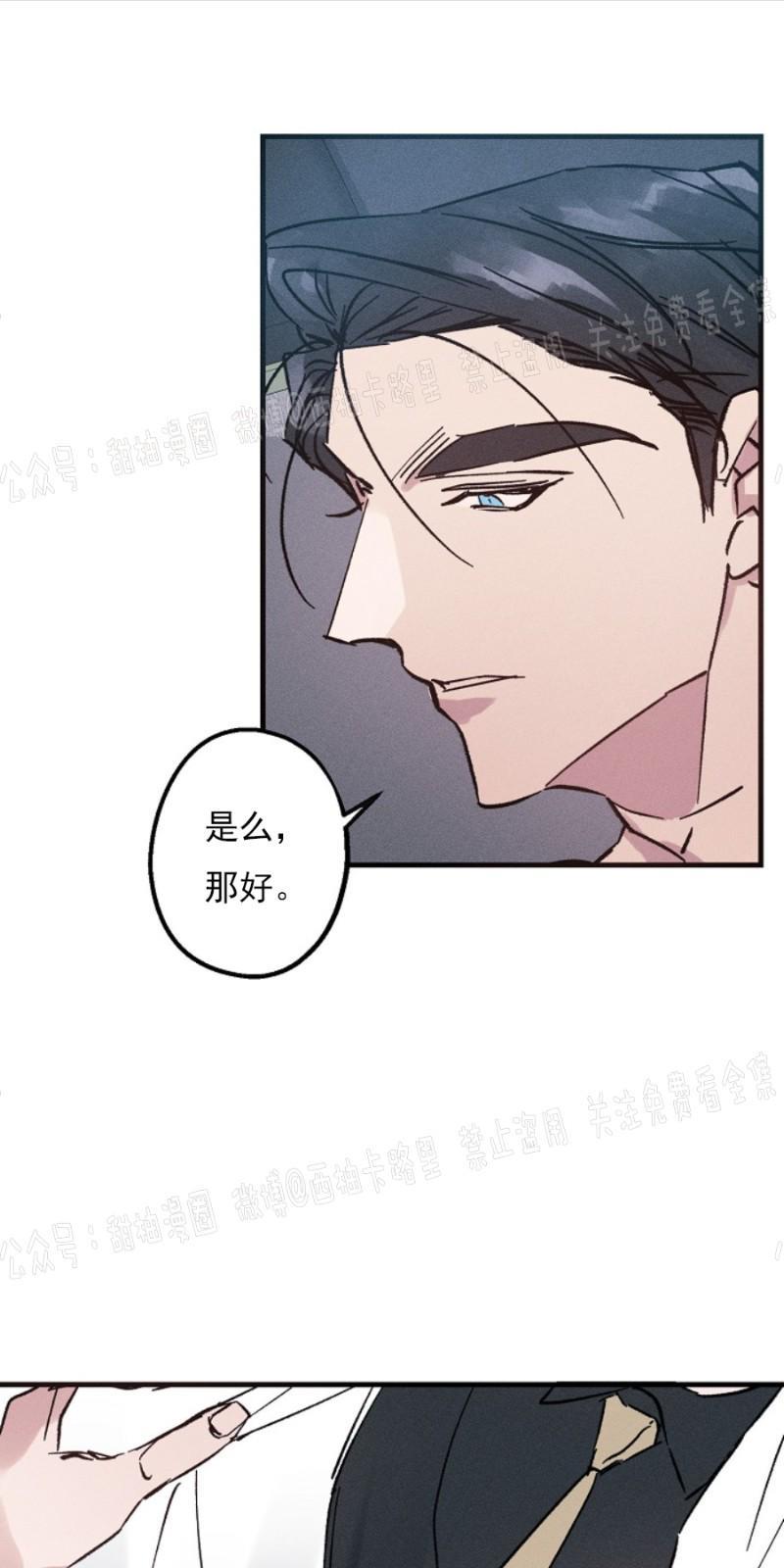 代号：迷雾/代号雾[耽美]韩漫全集-第5话无删减无遮挡章节图片 