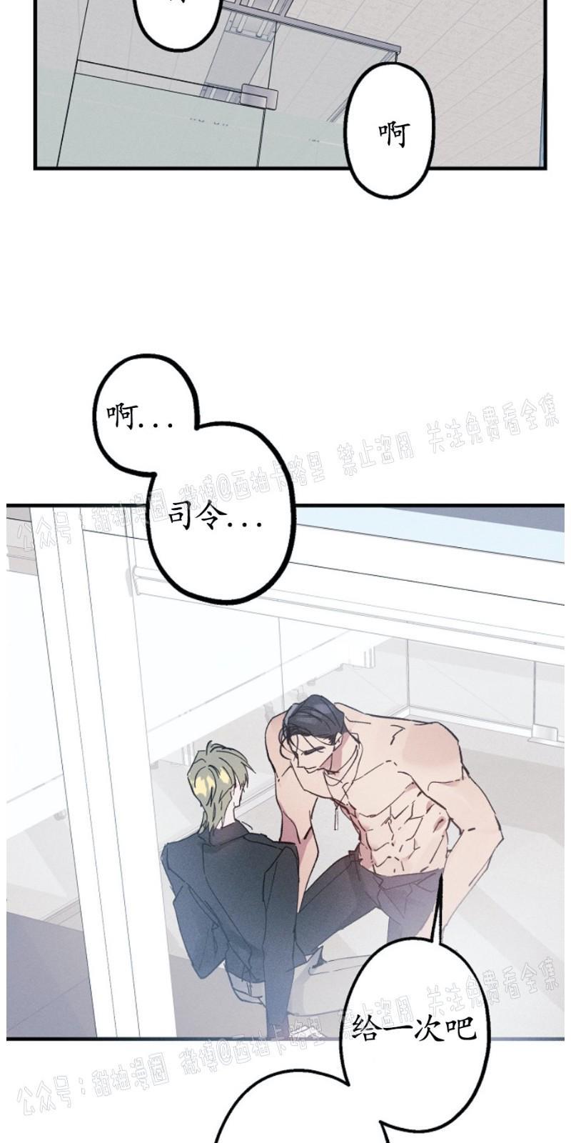 代号：迷雾/代号雾[耽美]韩漫全集-第6话无删减无遮挡章节图片 