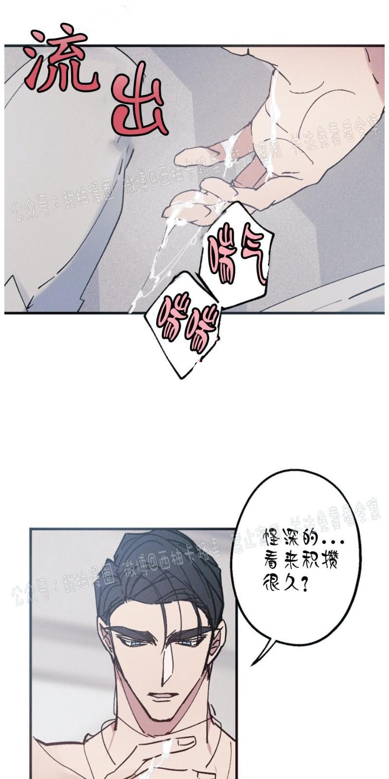 代号：迷雾/代号雾[耽美]韩漫全集-第6话无删减无遮挡章节图片 