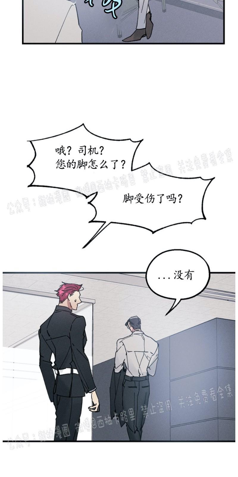 代号：迷雾/代号雾[耽美]韩漫全集-第6话无删减无遮挡章节图片 