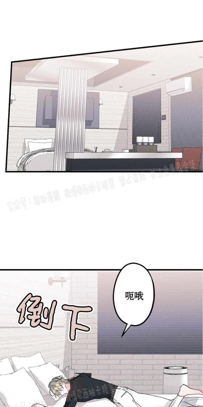 代号：迷雾/代号雾[耽美]韩漫全集-第8话无删减无遮挡章节图片 