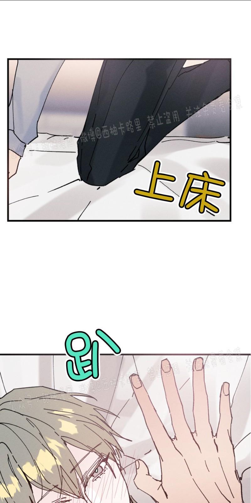代号：迷雾/代号雾[耽美]韩漫全集-第8话无删减无遮挡章节图片 