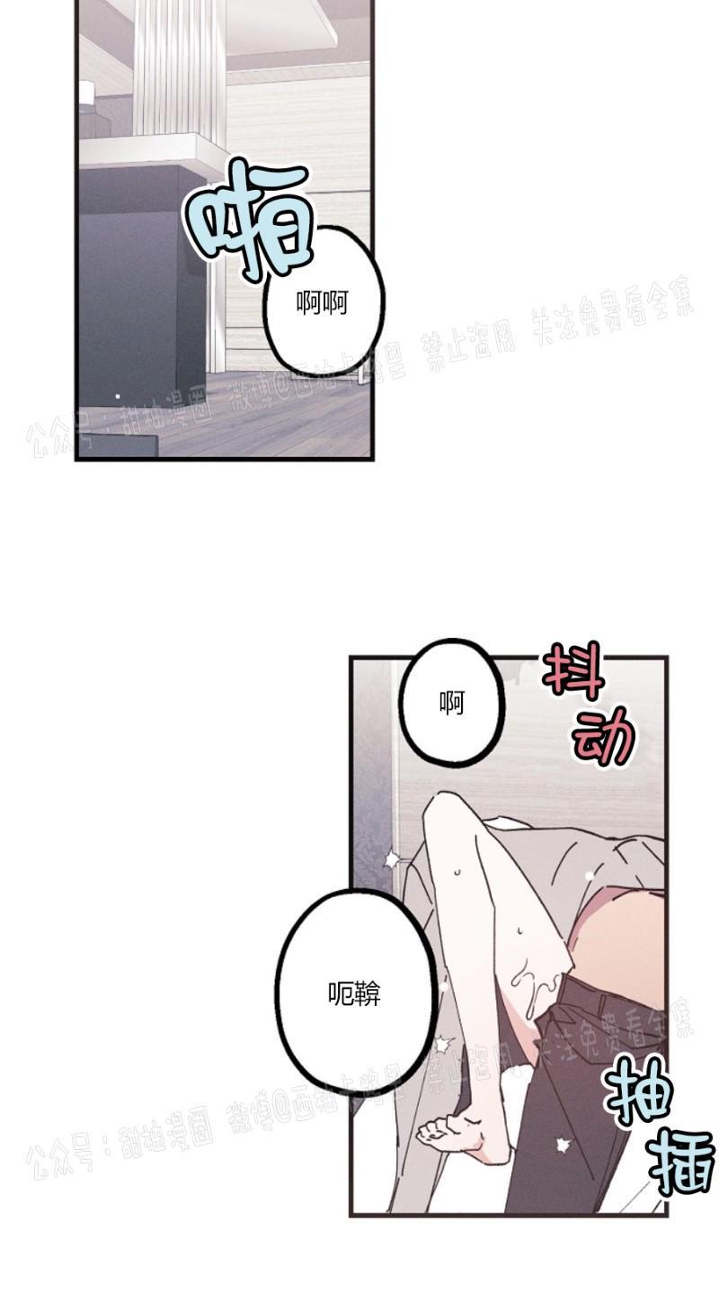 代号：迷雾/代号雾[耽美]韩漫全集-第10话无删减无遮挡章节图片 