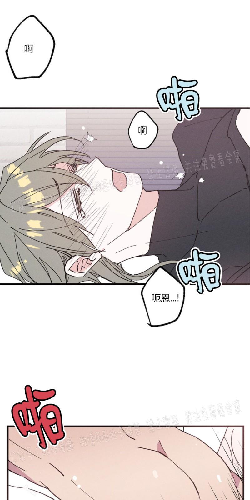 代号：迷雾/代号雾[耽美]韩漫全集-第10话无删减无遮挡章节图片 