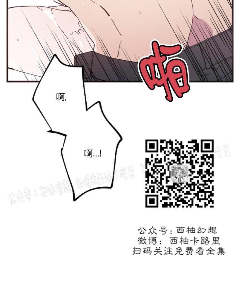 代号：迷雾/代号雾[耽美]韩漫全集-第10话无删减无遮挡章节图片 